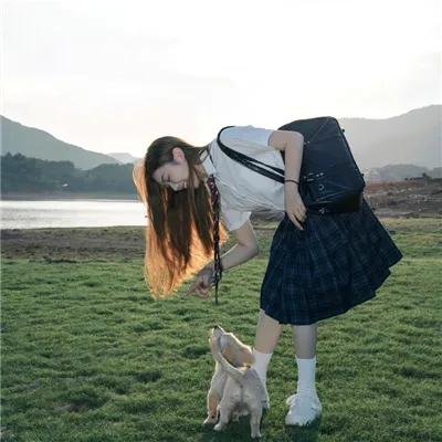 王朝消亡